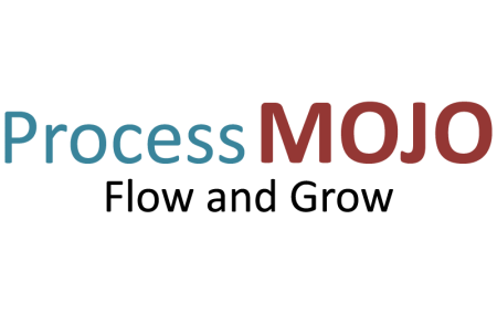 Process-Mojo-Logo